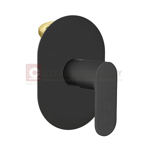 Concealed Valve